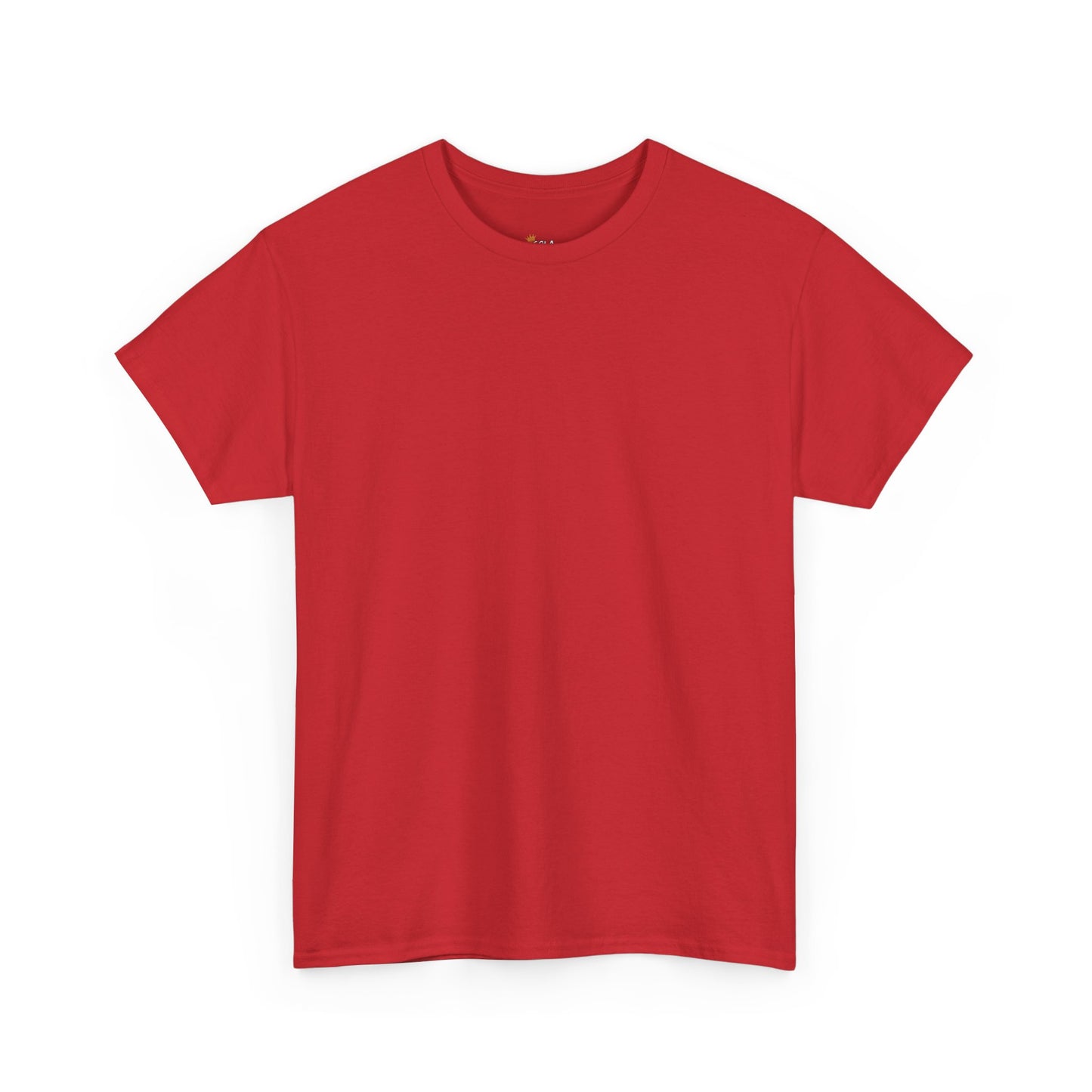 PLAIN Unisex Heavy Cotton Tee