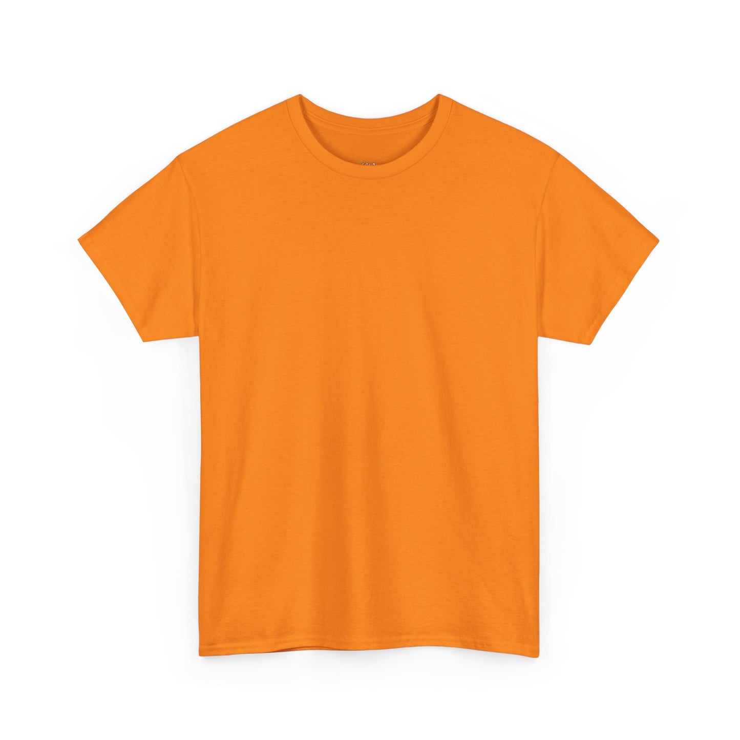 PLAIN Unisex Heavy Cotton Tee
