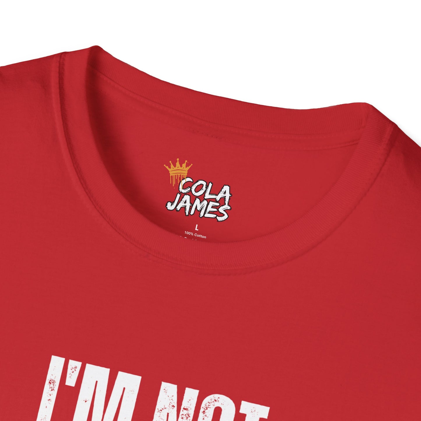 Funny New York City T-Shirt