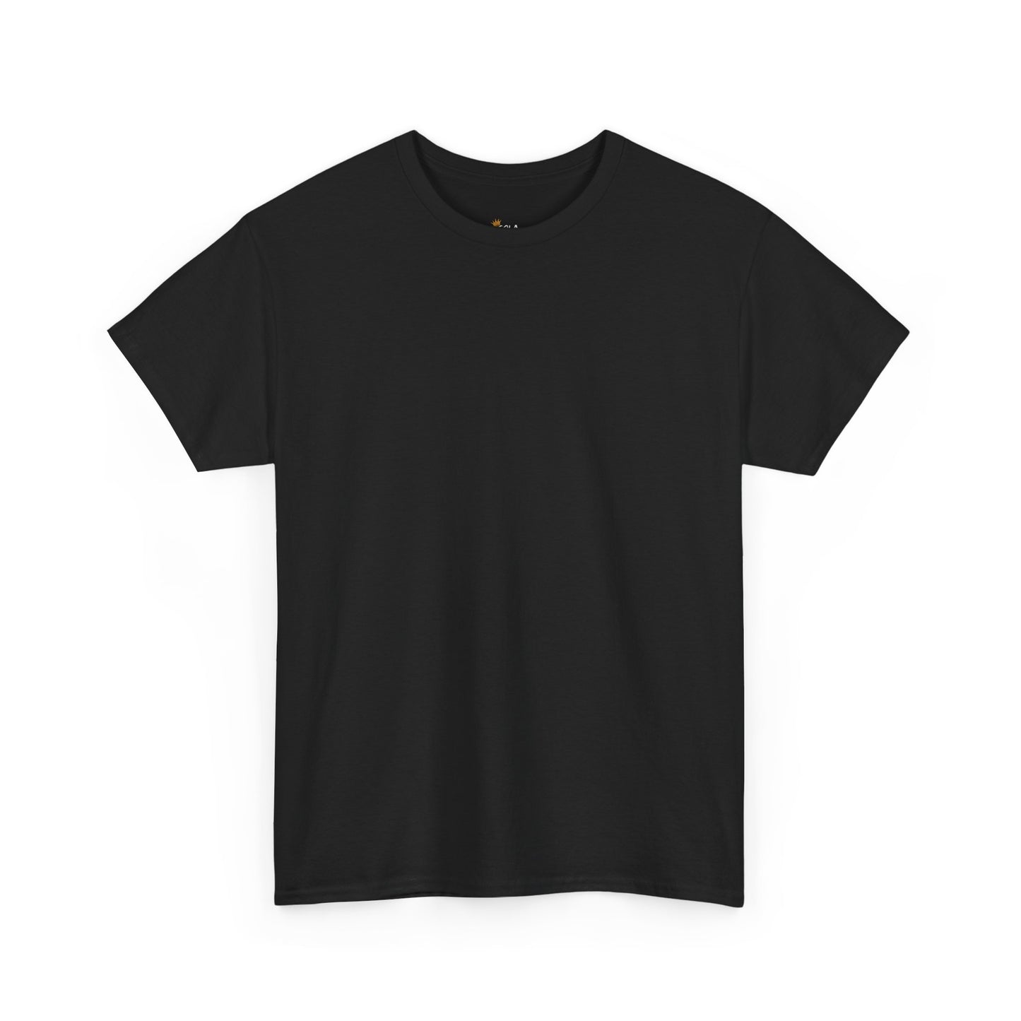 PLAIN Unisex Heavy Cotton Tee