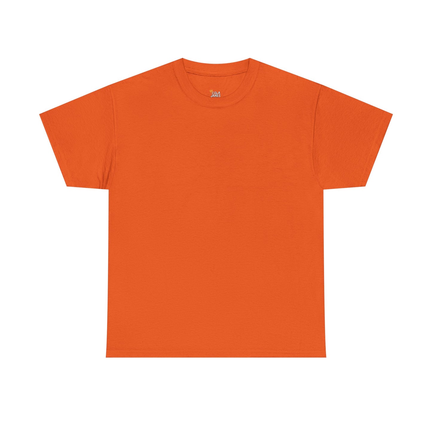 PLAIN Unisex Heavy Cotton Tee