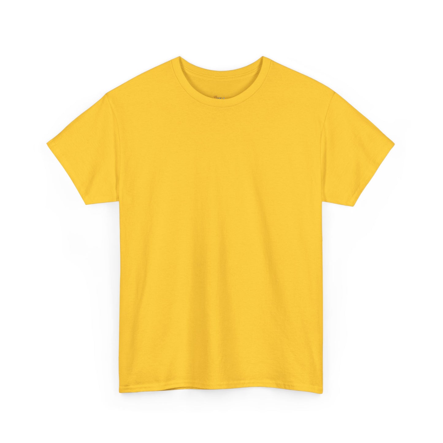 PLAIN Unisex Heavy Cotton Tee
