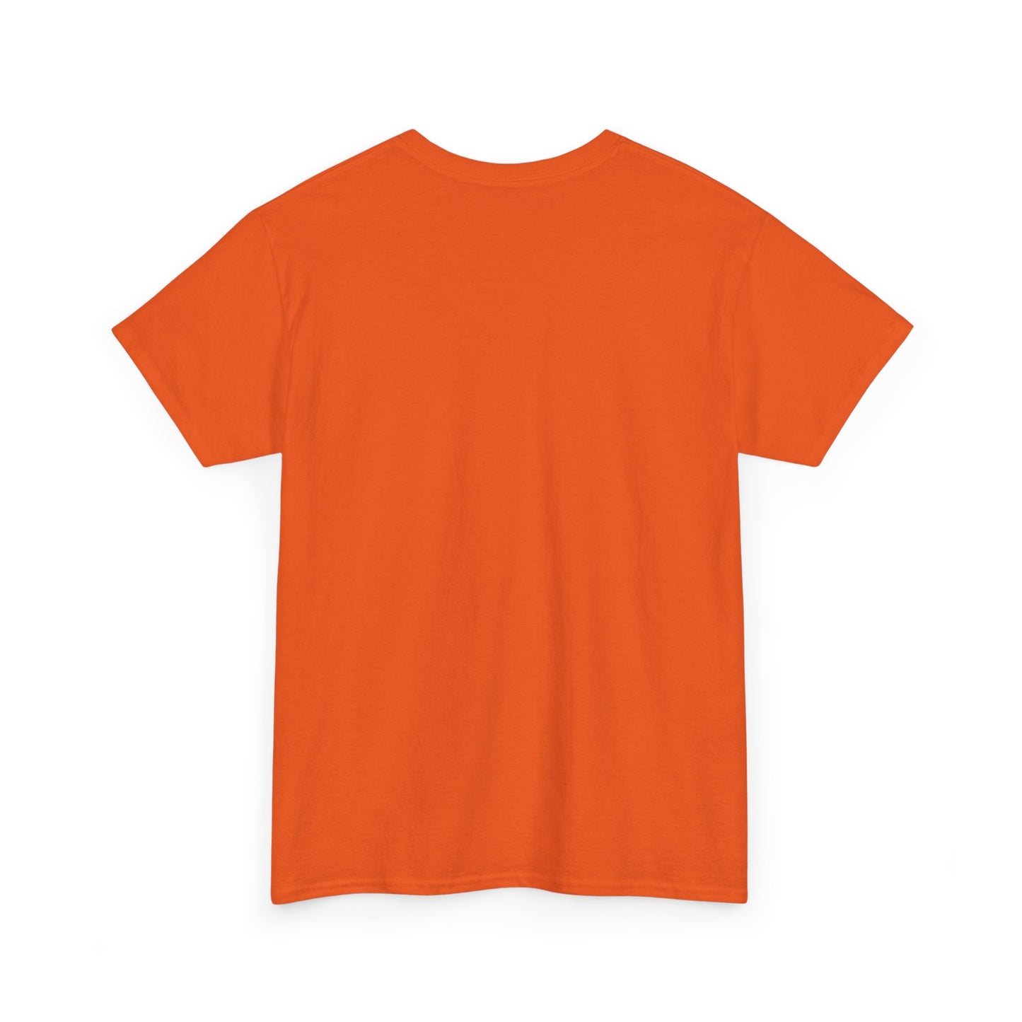 PLAIN Unisex Heavy Cotton Tee