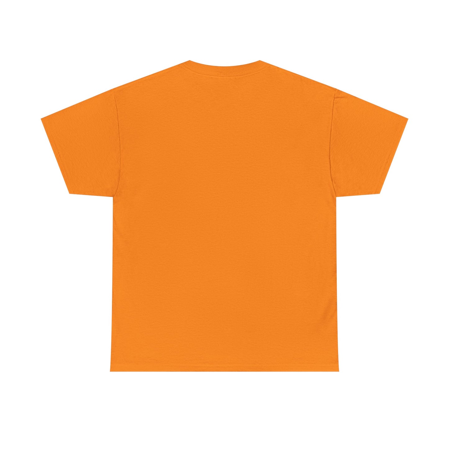 PLAIN Unisex Heavy Cotton Tee