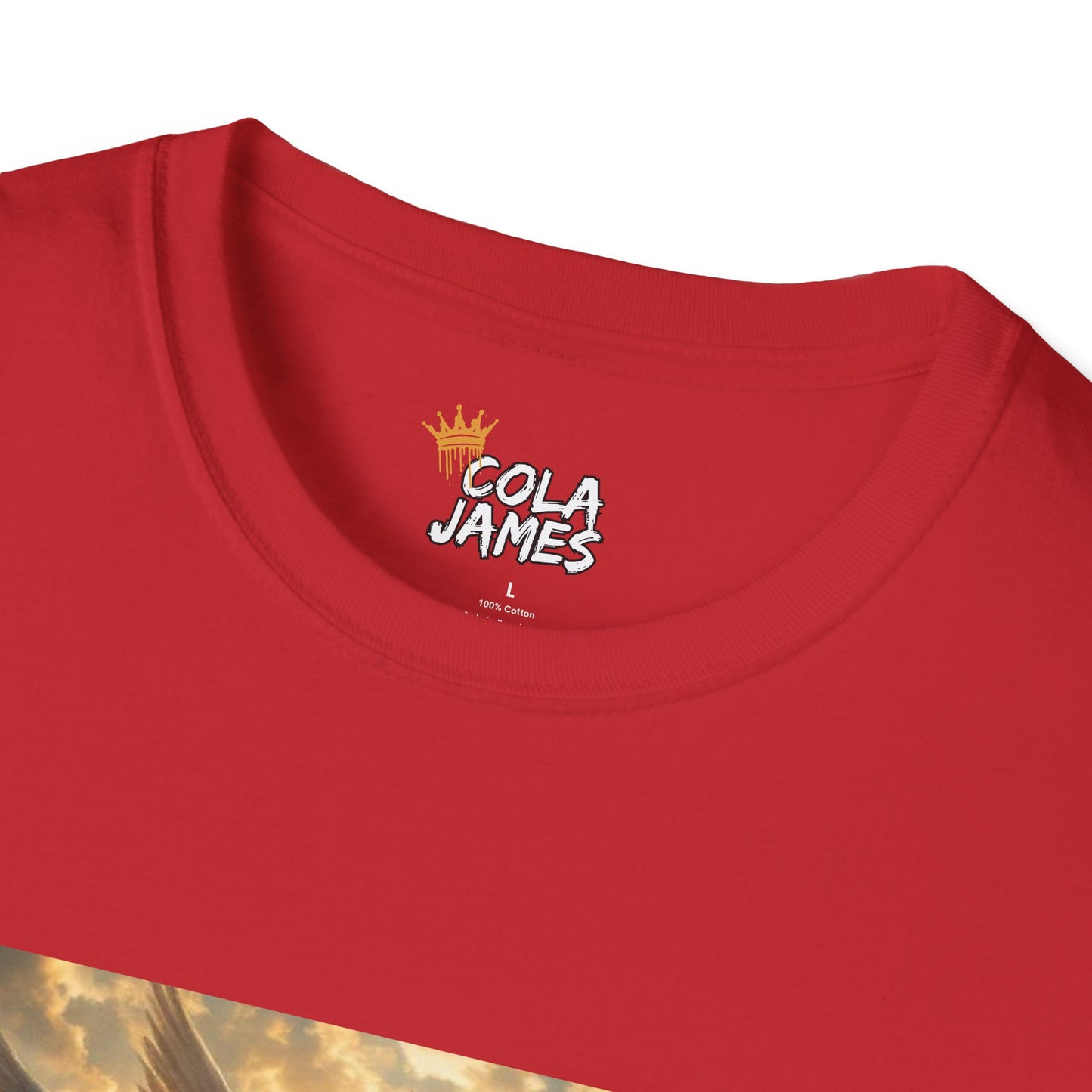 Statement T-Shirt - I respectfully don't give a fck