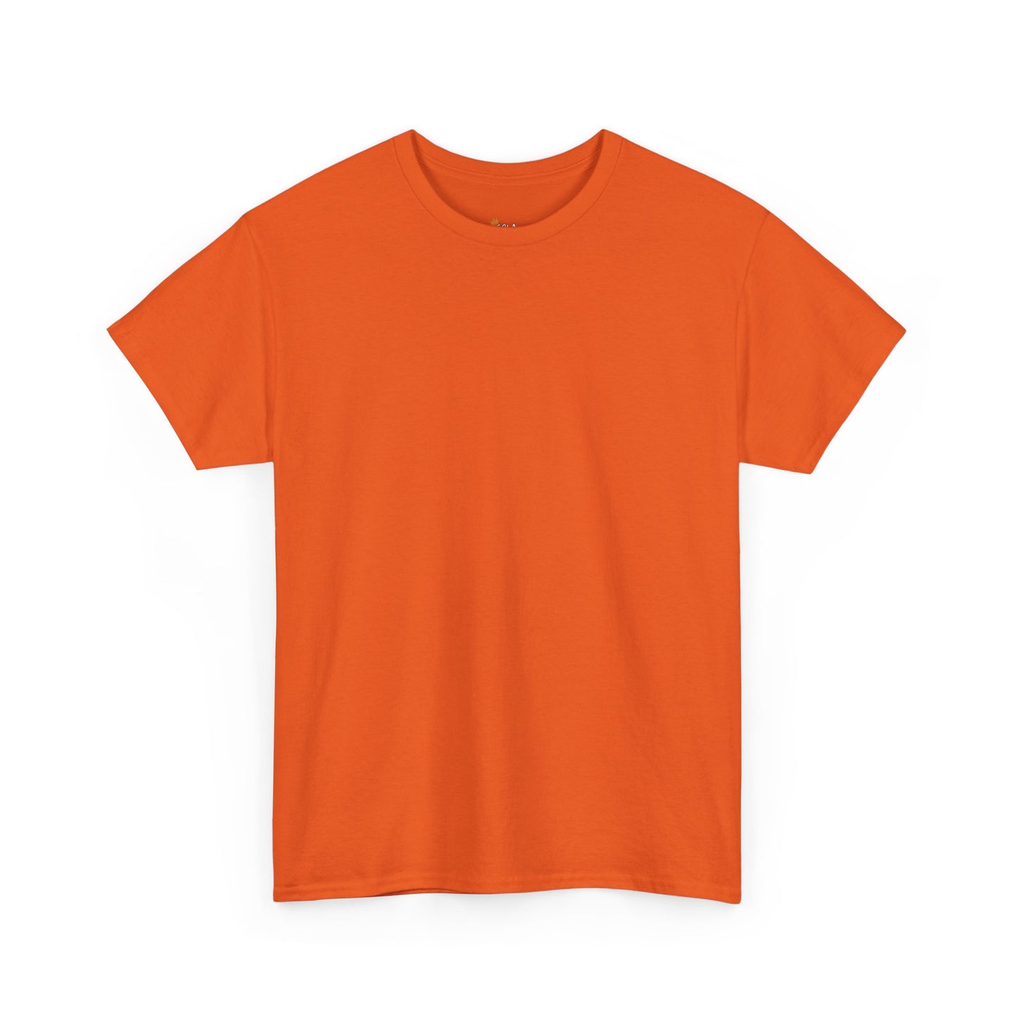 PLAIN Unisex Heavy Cotton Tee