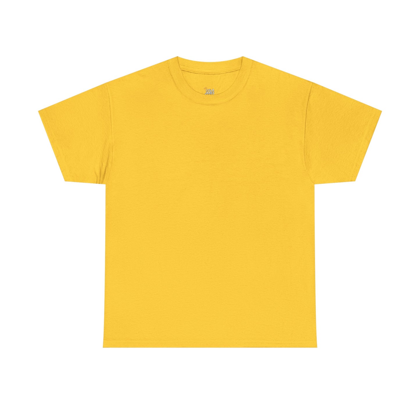 PLAIN Unisex Heavy Cotton Tee
