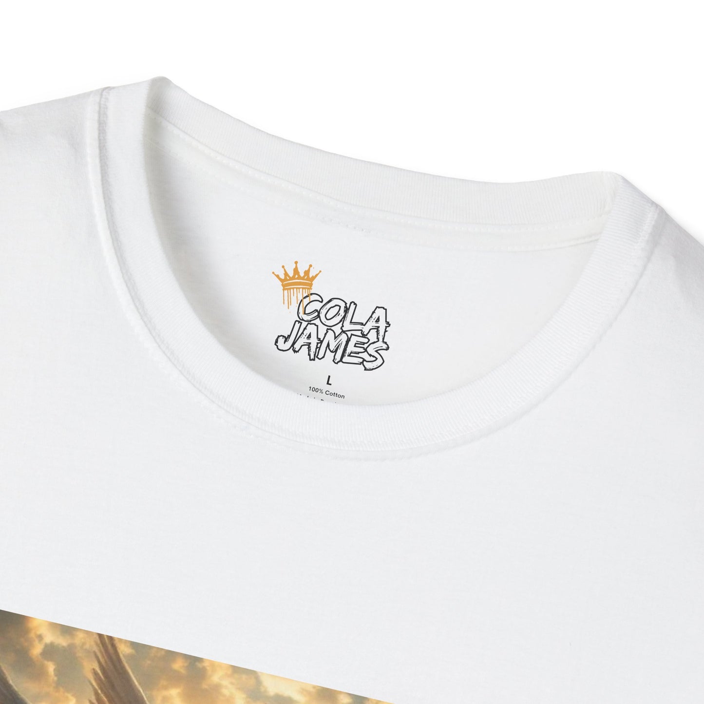 Statement T-Shirt - I respectfully don't give a fck