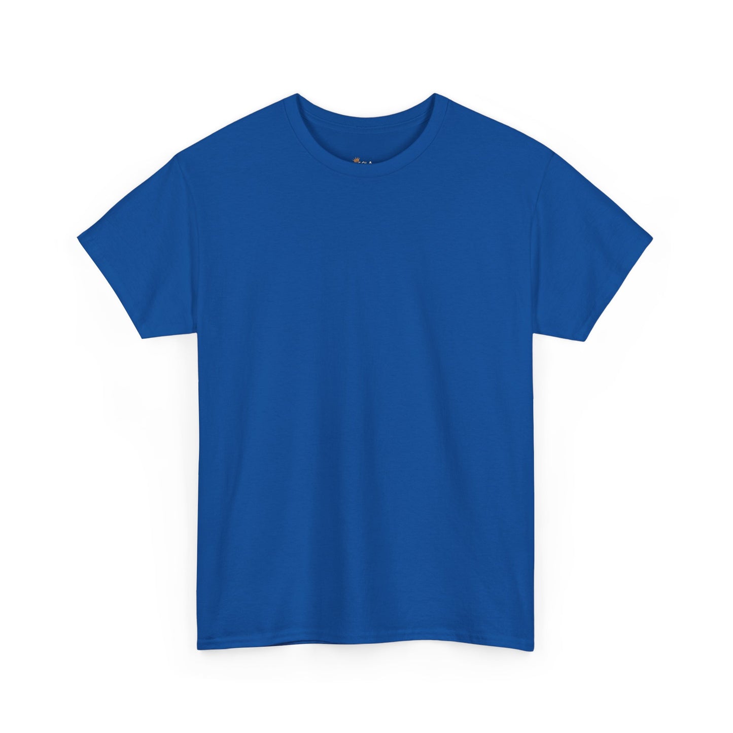 PLAIN Unisex Heavy Cotton Tee