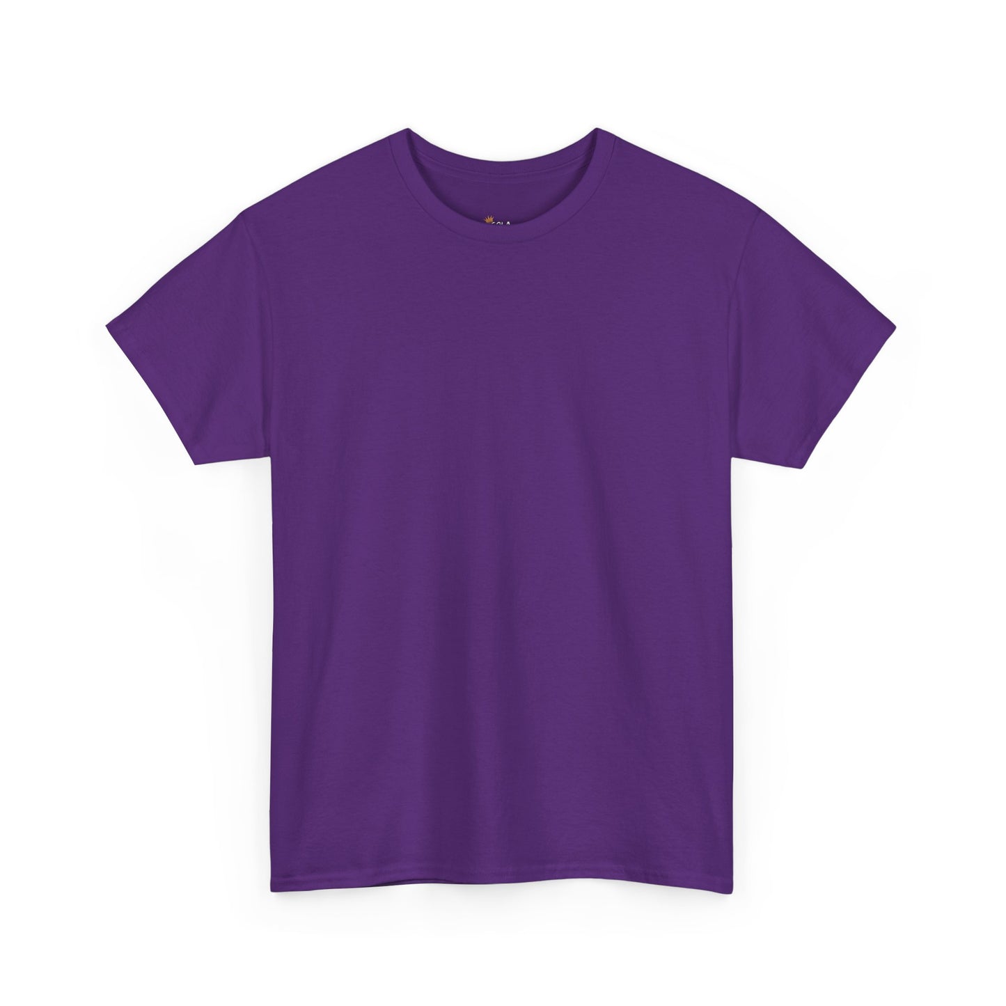 PLAIN Unisex Heavy Cotton Tee