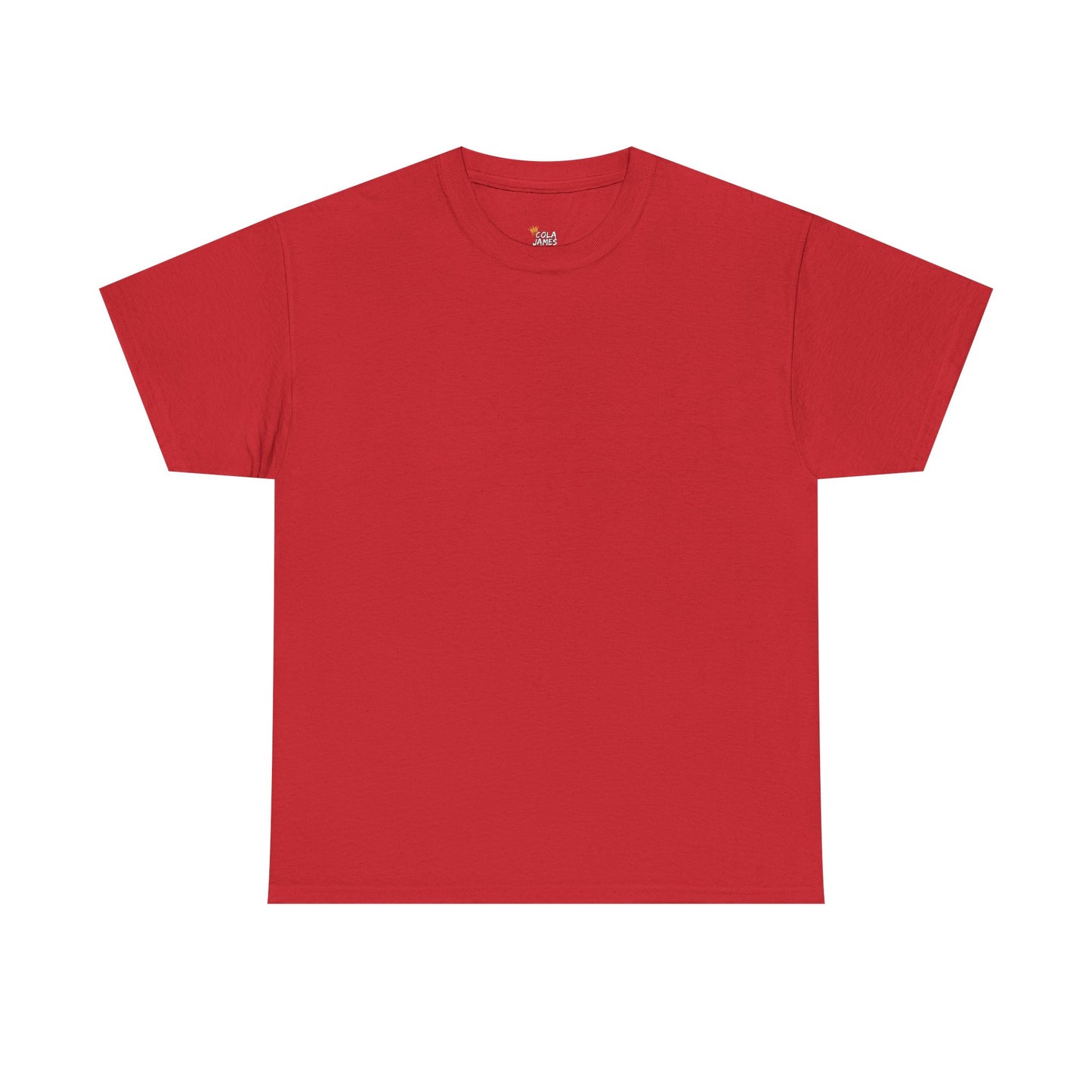 PLAIN Unisex Heavy Cotton Tee