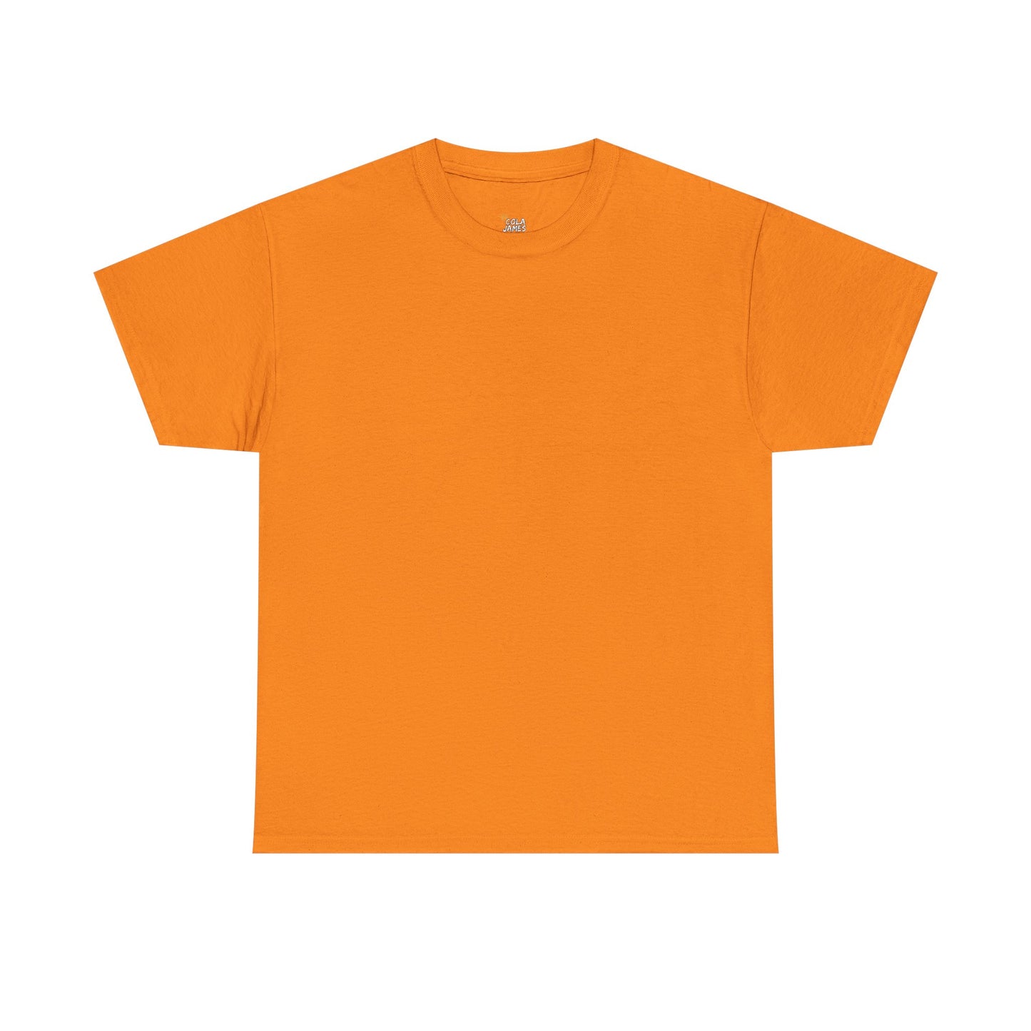 PLAIN Unisex Heavy Cotton Tee