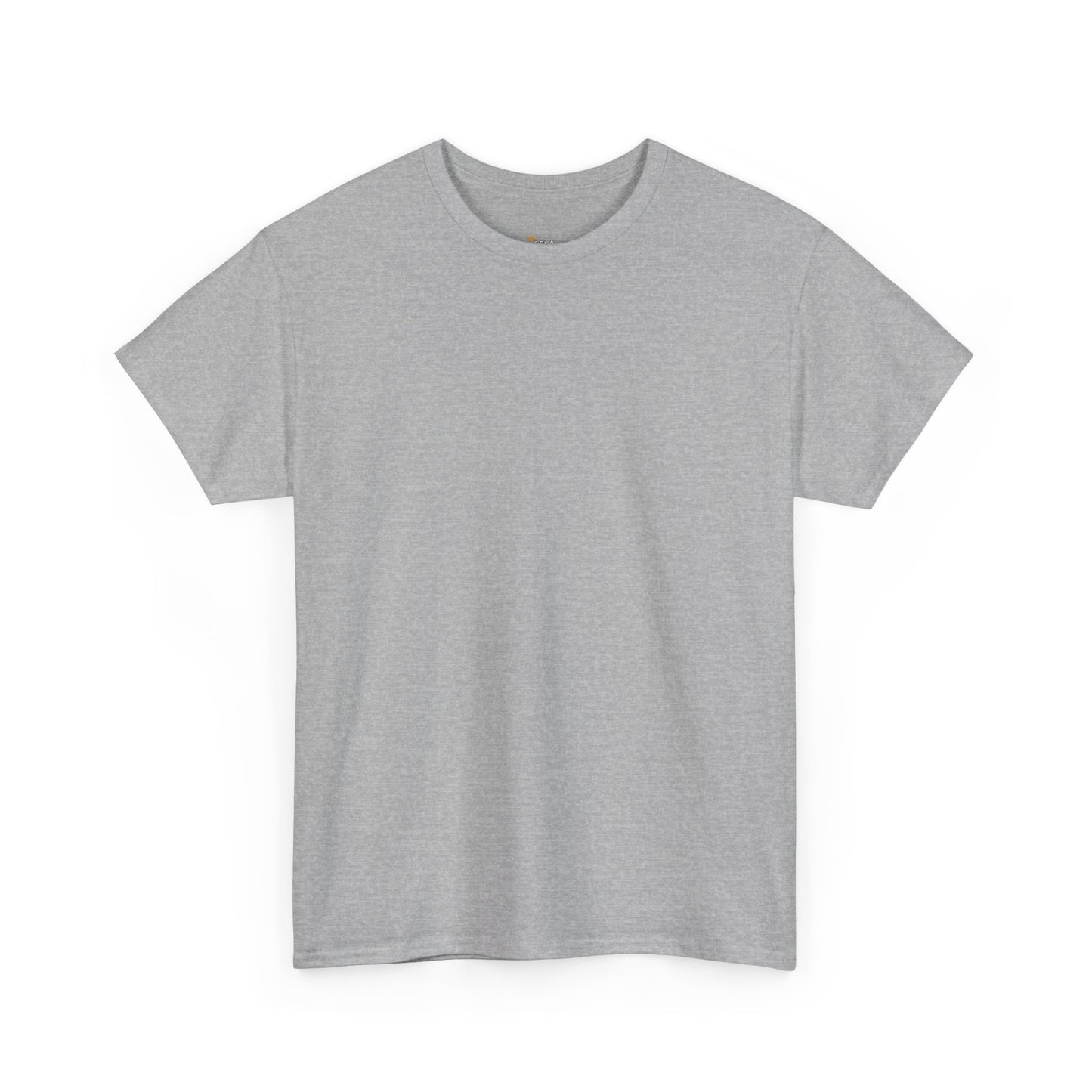 PLAIN Unisex Heavy Cotton Tee