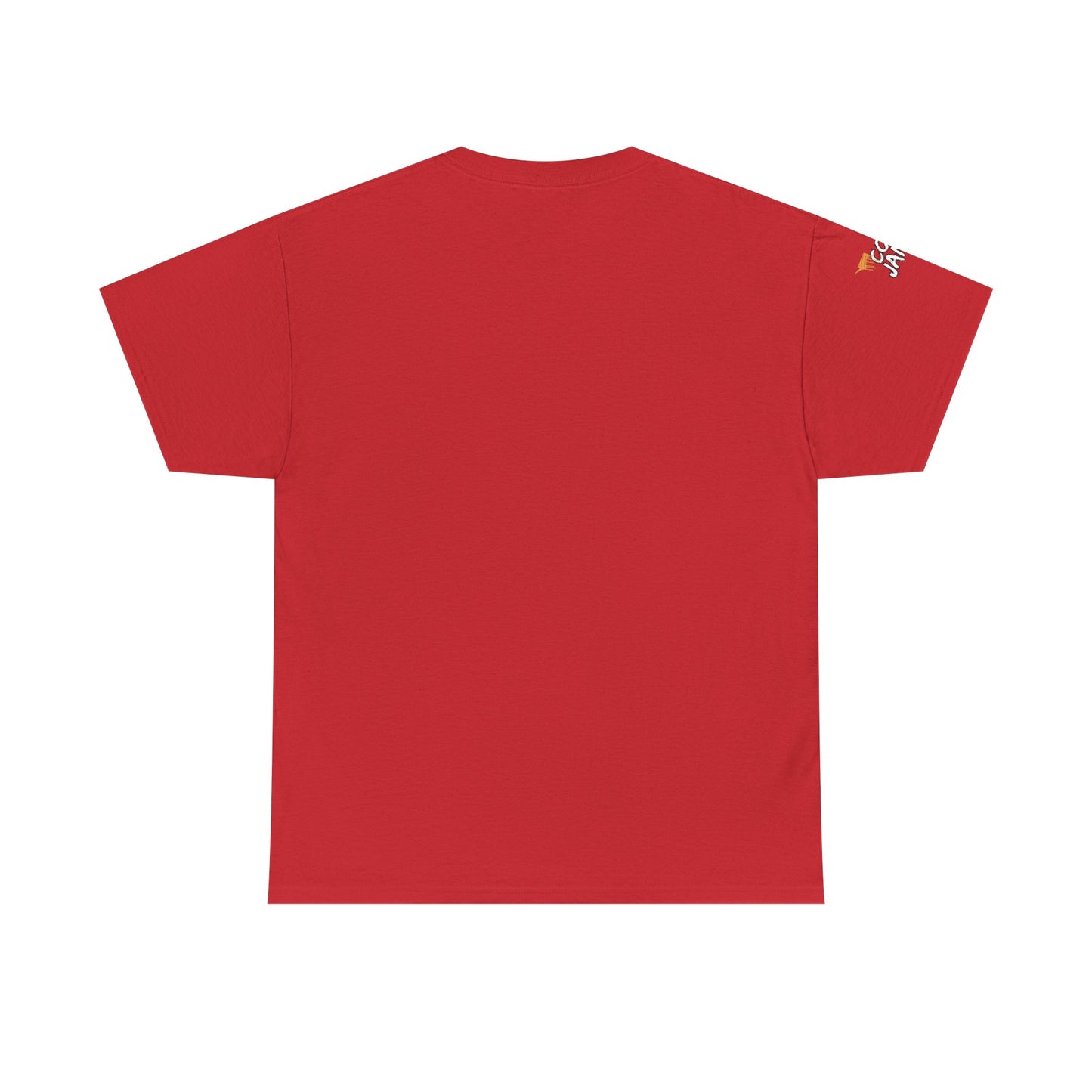 Unisex Heavy Cotton Tee - 'Haters Thank You' Motivational Shirt