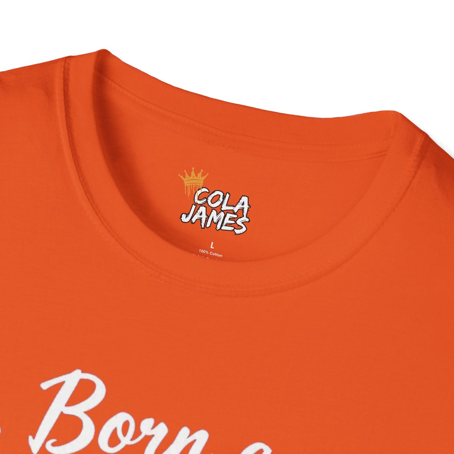 Knicks Fan T-Shirt - Born a Knicks Fan Gonna Die a Knicks Fan, Sports Apparel, NYC Show Support, Birthday Gift, Basketball Lover